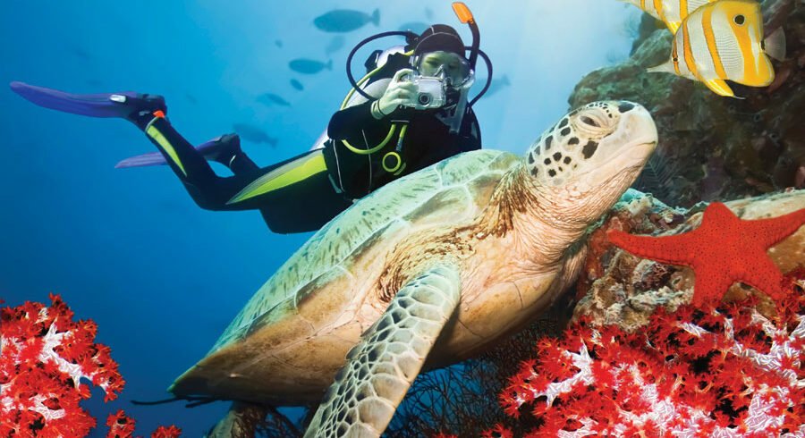 Snorkeling in Pasikuda