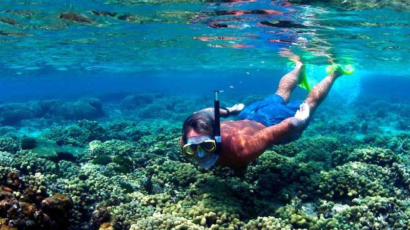 Snorkeling & Diving