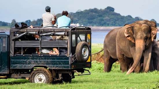 Jeep Safari in Yala