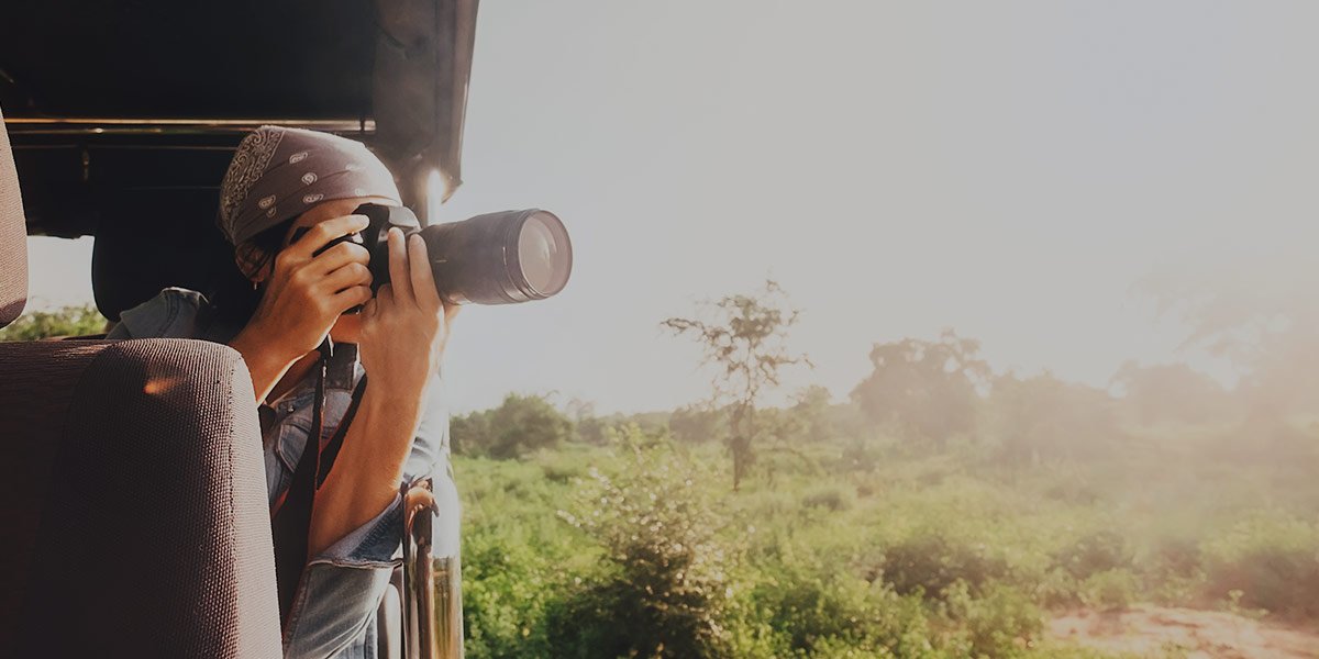 Wildlife Photography