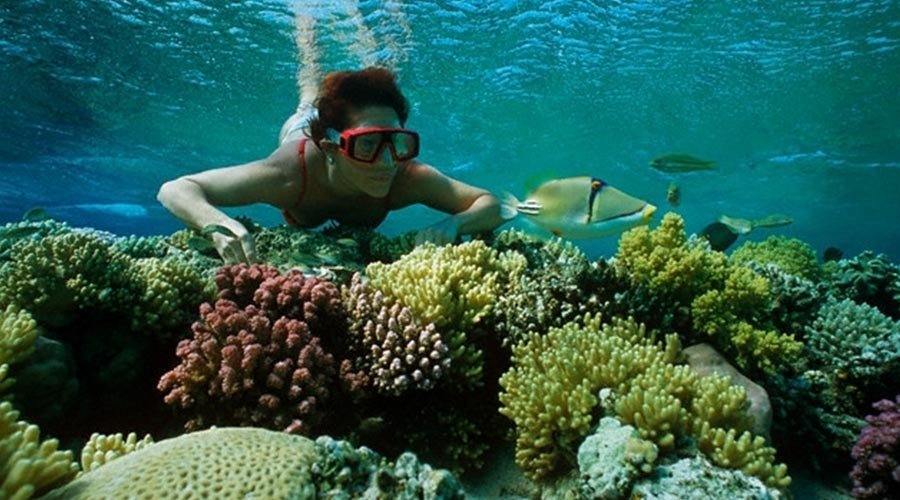 The Bar Reef in Kalpitiya