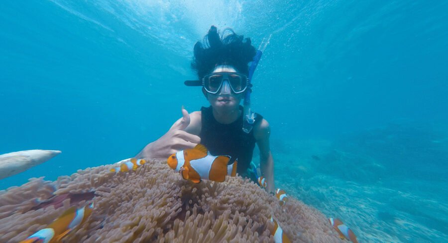 Colorful fish in the waters of Weligama