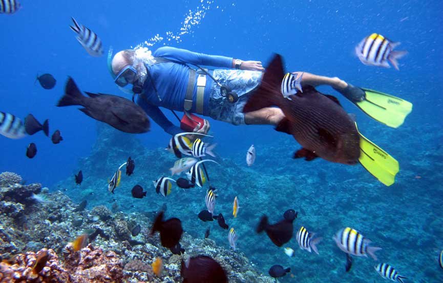 Swimming with turtles in Hikkaduwa