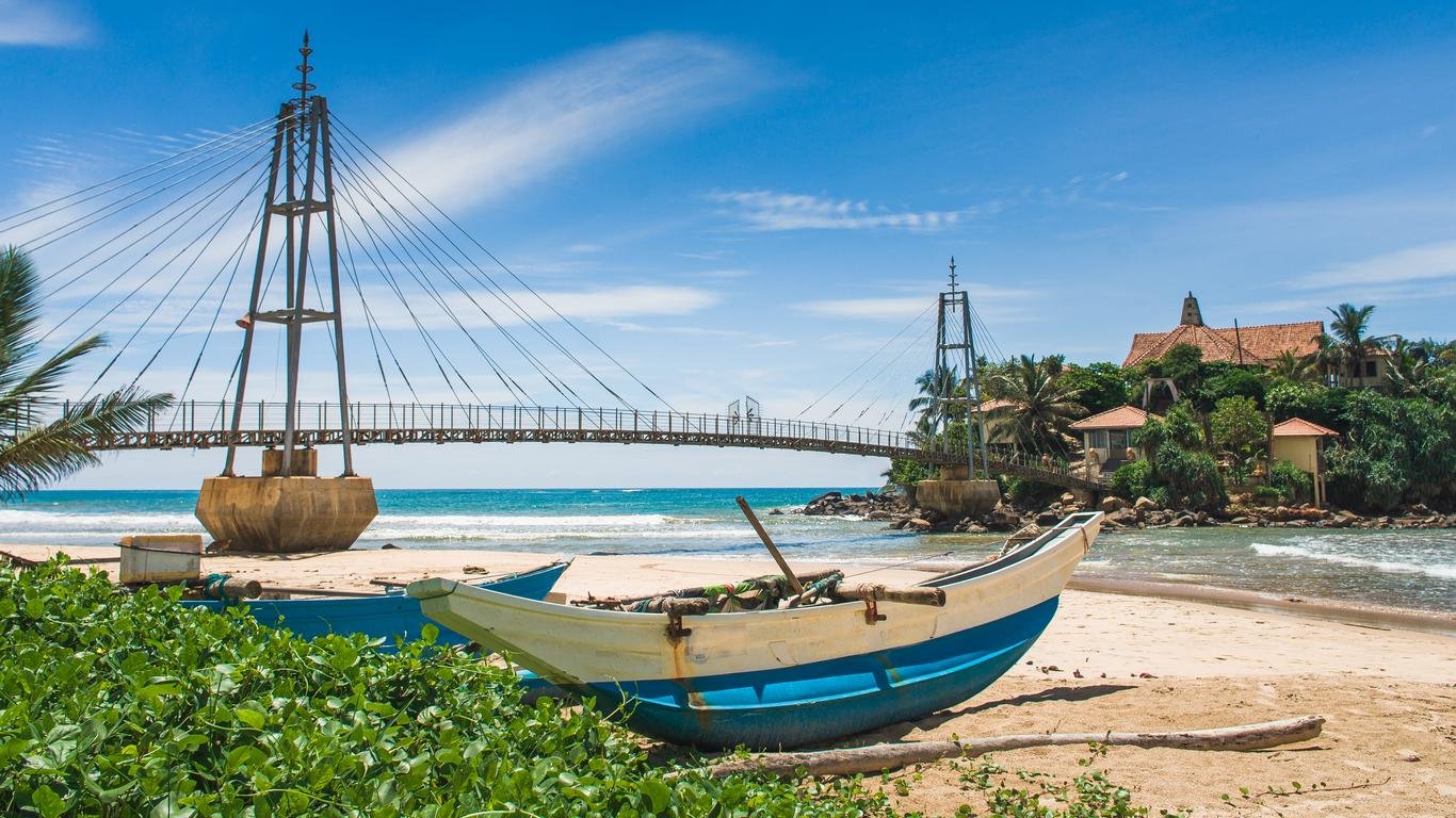 Polhena Beach Turtle Encounter 1