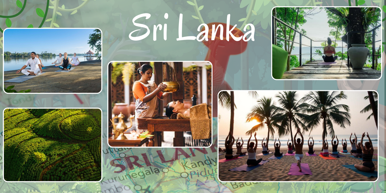 Serene Sri Lankan Landscape